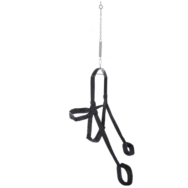 Fetish Fantasy Sexschaukel