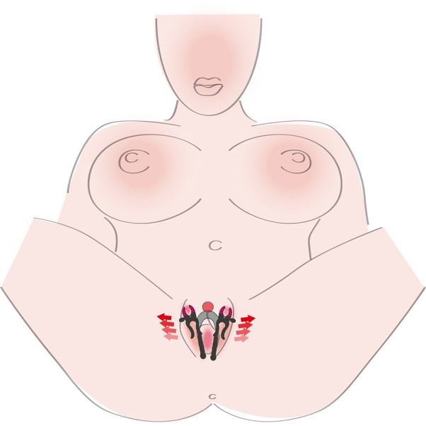 You2Toys Intimate Starker G-Punkt Spreizer