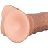 Willie City Classic Realistischer Gewölbter Dildo 20 cm mit Saugnapf